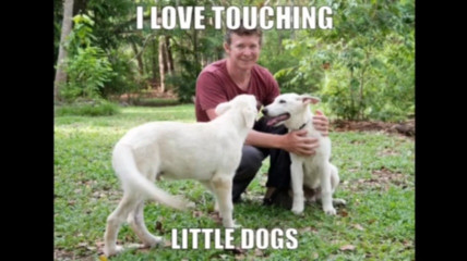Adam Britton meme edit (not mine)
