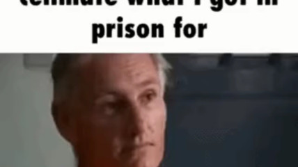 Fun scully meme gif (not mine)