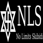 NoLimitsSkibidi