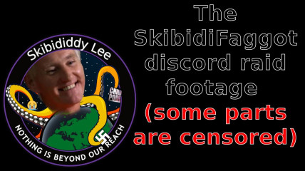 skibidifaggot discord raid footage (censored)